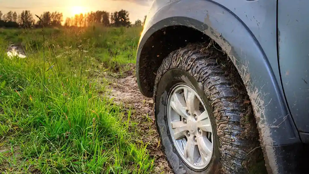 Fender Flares Protect