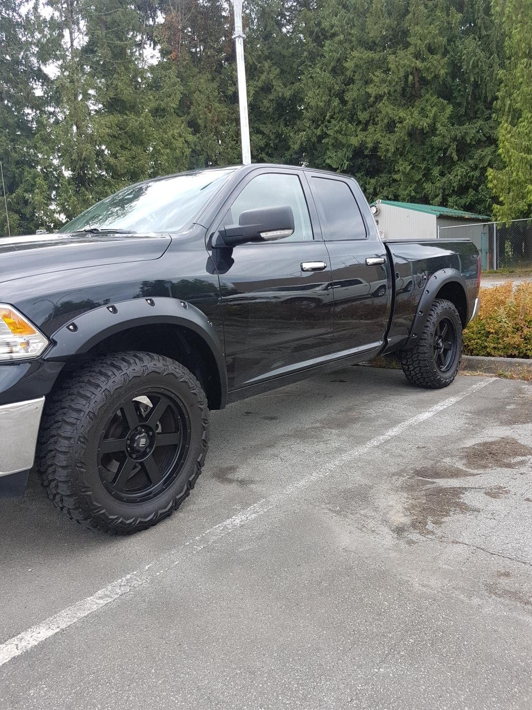 2009-2021 Dodge Ram 1500 Black Paintable